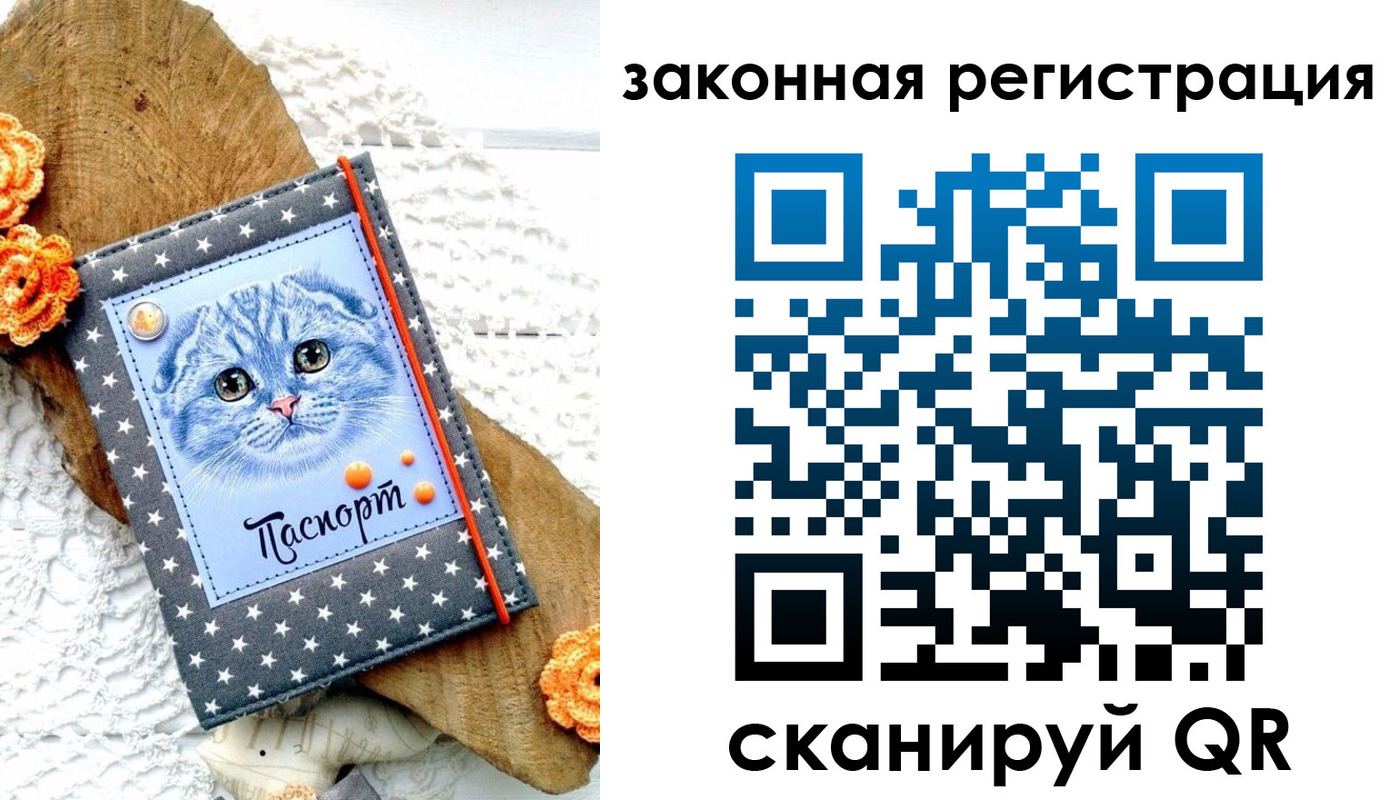 регистрация в Дрезне